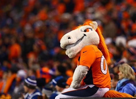 Denver Broncos Mascot's Coma Sparks Debate on Mascot Performances